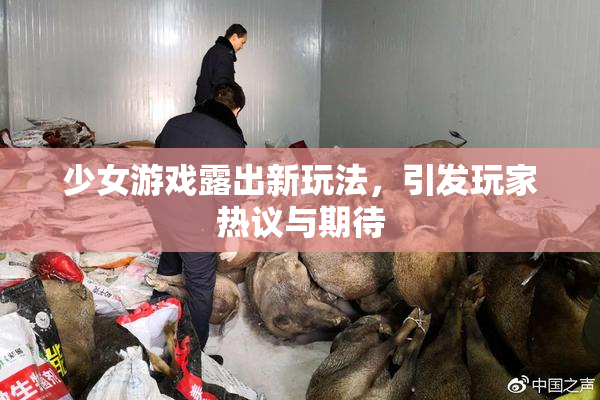 少女游戏露出新玩法，引发玩家热议与期待