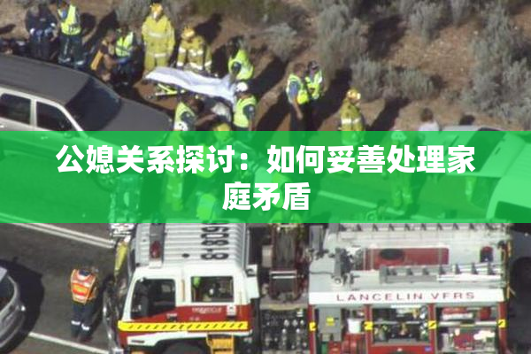 公媳关系探讨：如何妥善处理家庭矛盾