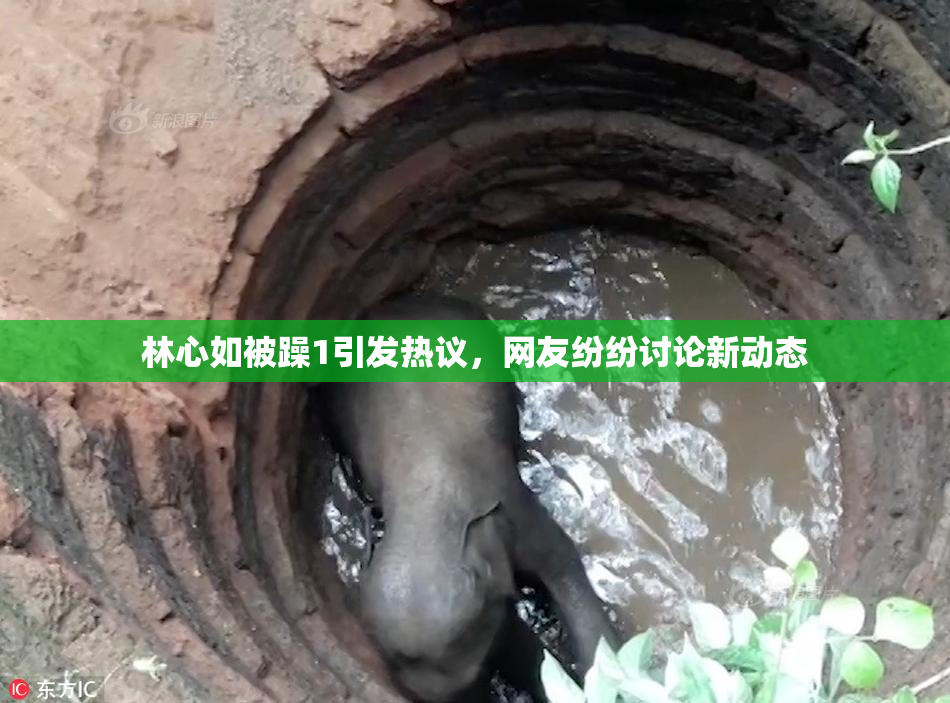 林心如被躁1引发热议，网友纷纷讨论新动态