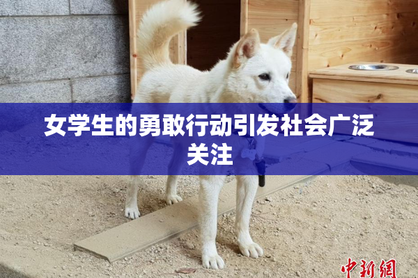 女学生的勇敢行动引发社会广泛关注