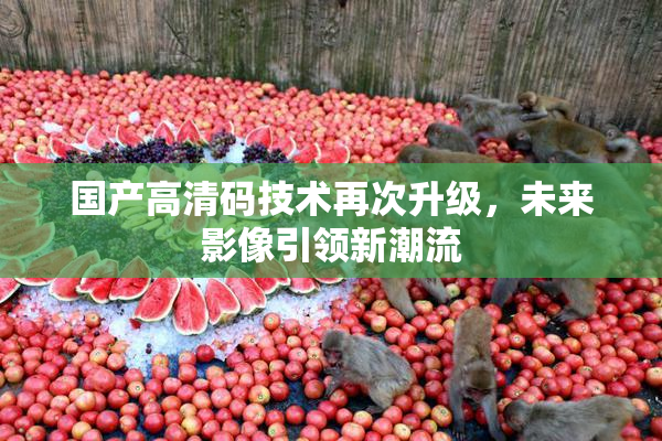 国产高清码技术再次升级，未来影像引领新潮流