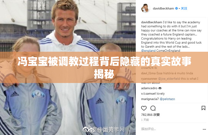 冯宝宝被调教过程背后隐藏的真实故事揭秘