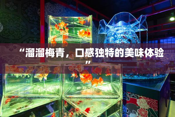 “溜溜梅青，口感独特的美味体验”