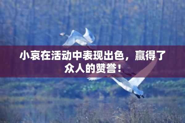 小哀在活动中表现出色，赢得了众人的赞誉！