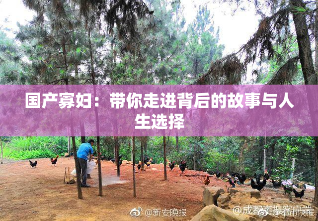国产寡妇：带你走进背后的故事与人生选择