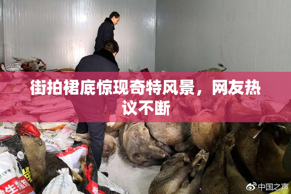 街拍裙底惊现奇特风景，网友热议不断