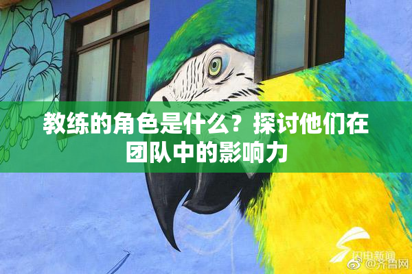 教练的角色是什么？探讨他们在团队中的影响力