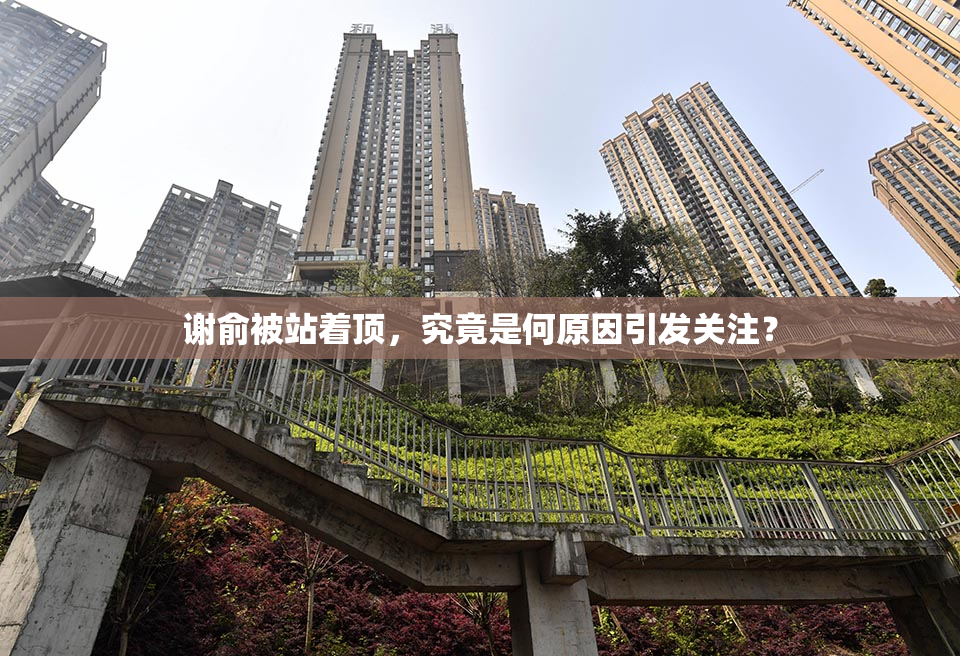 谢俞被站着顶，究竟是何原因引发关注？