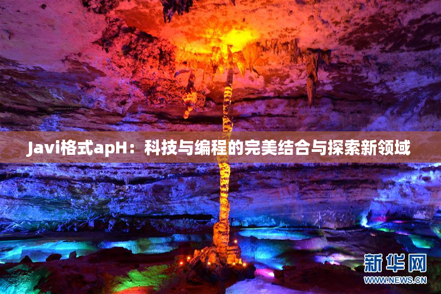 Javi格式apH：科技与编程的完美结合与探索新领域