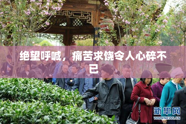 绝望呼喊，痛苦求饶令人心碎不已