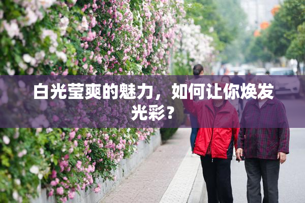 白光莹爽的魅力，如何让你焕发光彩？
