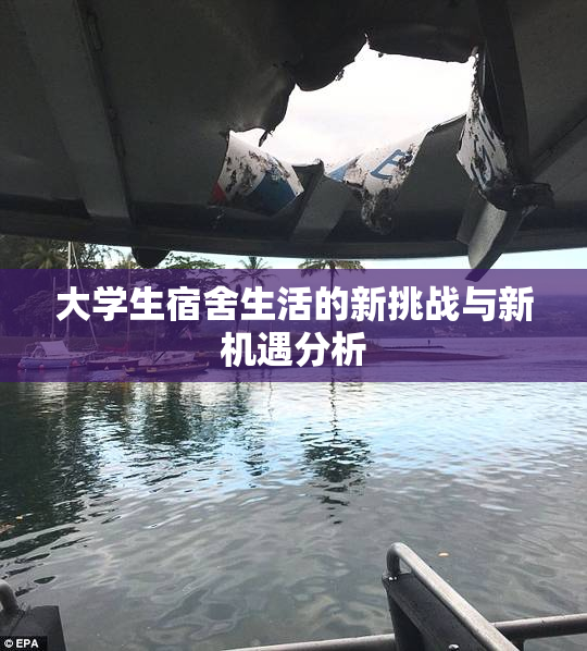 大学生宿舍生活的新挑战与新机遇分析
