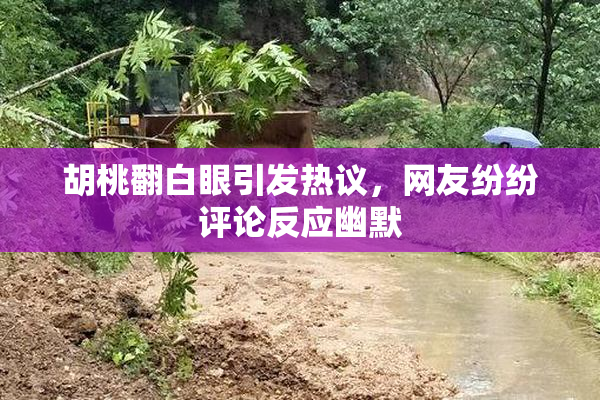 胡桃翻白眼引发热议，网友纷纷评论反应幽默