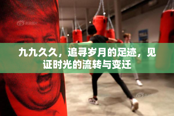 九九久久，追寻岁月的足迹，见证时光的流转与变迁