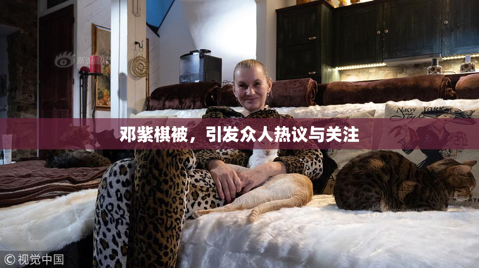 邓紫棋被，引发众人热议与关注