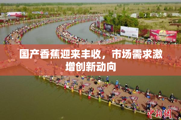 国产香蕉迎来丰收，市场需求激增创新动向