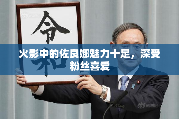 火影中的佐良娜魅力十足，深受粉丝喜爱