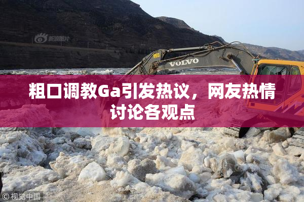 粗口调教Ga引发热议，网友热情讨论各观点