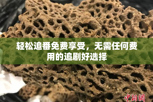 轻松追番免费享受，无需任何费用的追剧好选择
