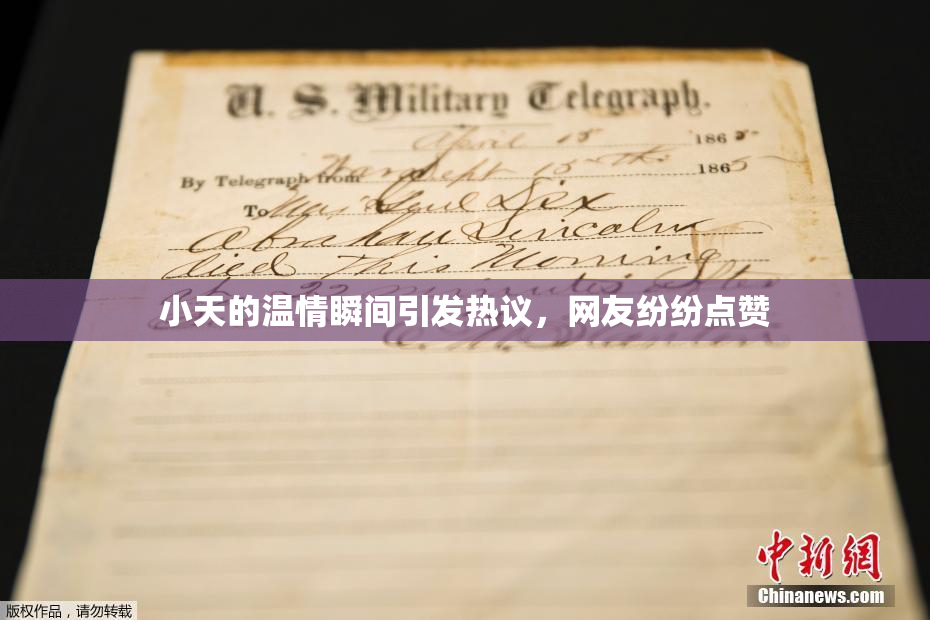 小天的温情瞬间引发热议，网友纷纷点赞