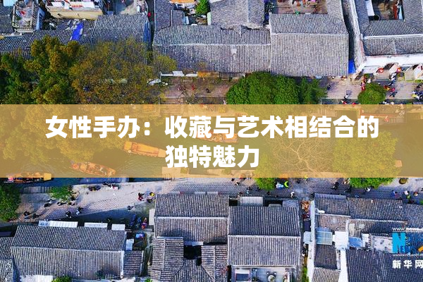 女性手办：收藏与艺术相结合的独特魅力