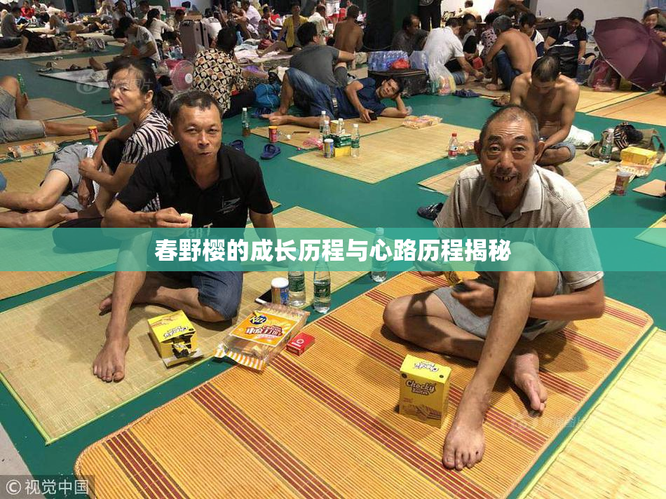 春野樱的成长历程与心路历程揭秘
