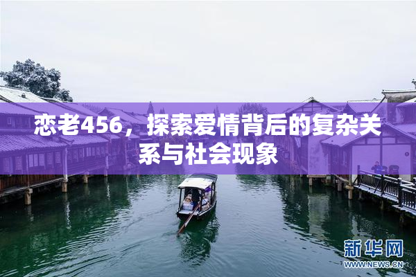 恋老456，探索爱情背后的复杂关系与社会现象