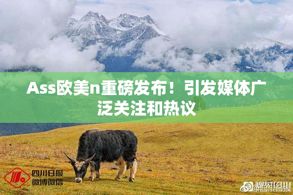 Ass欧美n重磅发布！引发媒体广泛关注和热议