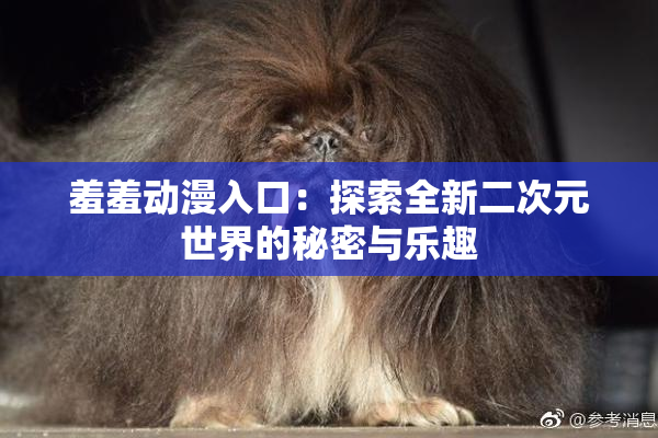羞羞动漫入口：探索全新二次元世界的秘密与乐趣