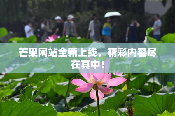 芒果网站全新上线，精彩内容尽在其中！