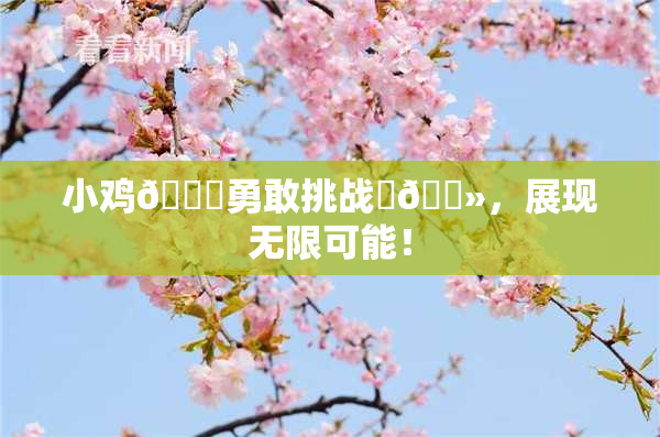 小鸡🐔勇敢挑战‌🐻，展现无限可能！