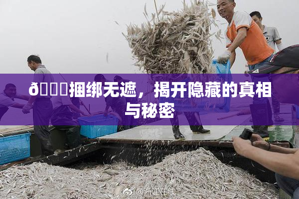 🔞捆绑无遮，揭开隐藏的真相与秘密
