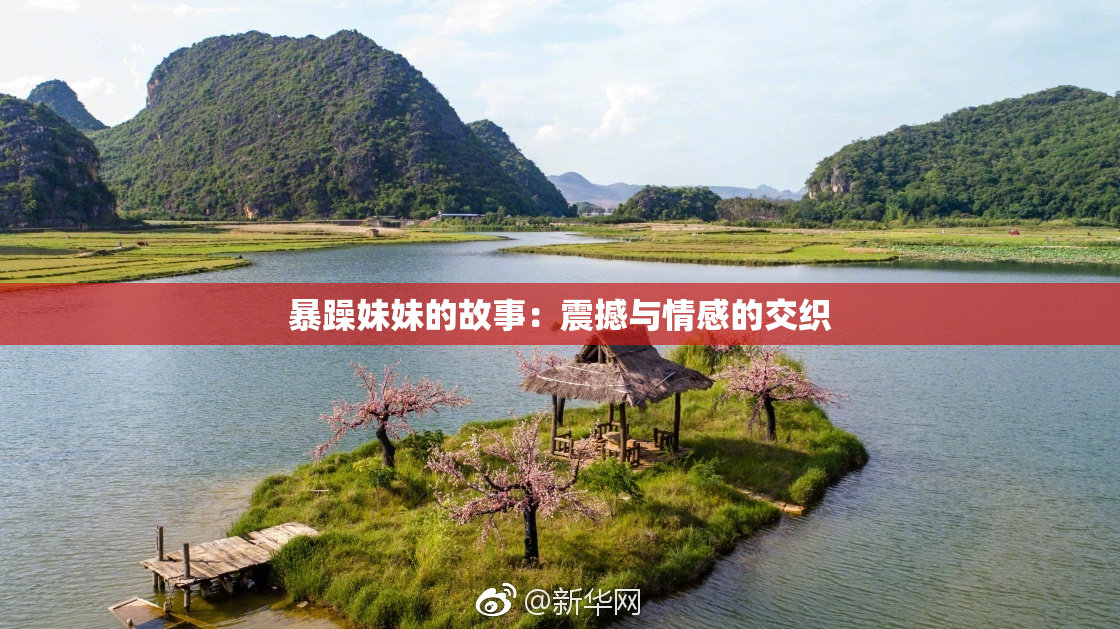 暴躁妹妹的故事：震撼与情感的交织