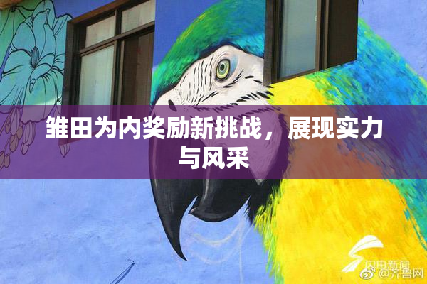 雏田为内奖励新挑战，展现实力与风采