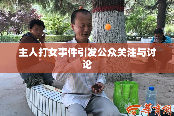 主人打女事件引发公众关注与讨论