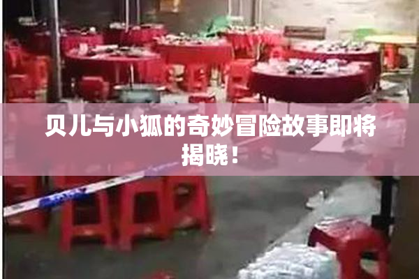 贝儿与小狐的奇妙冒险故事即将揭晓！