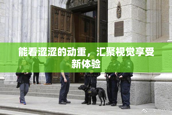 能看涩涩的动重，汇聚视觉享受新体验