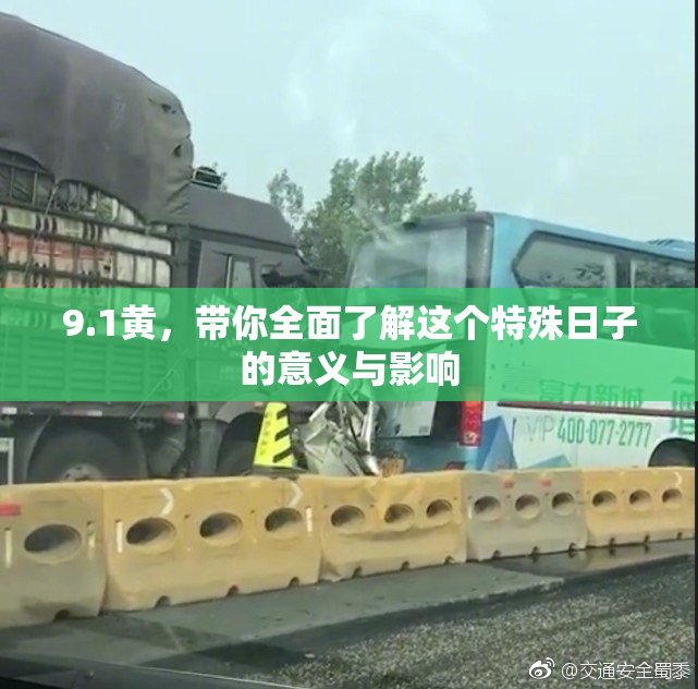 9.1黄，带你全面了解这个特殊日子的意义与影响