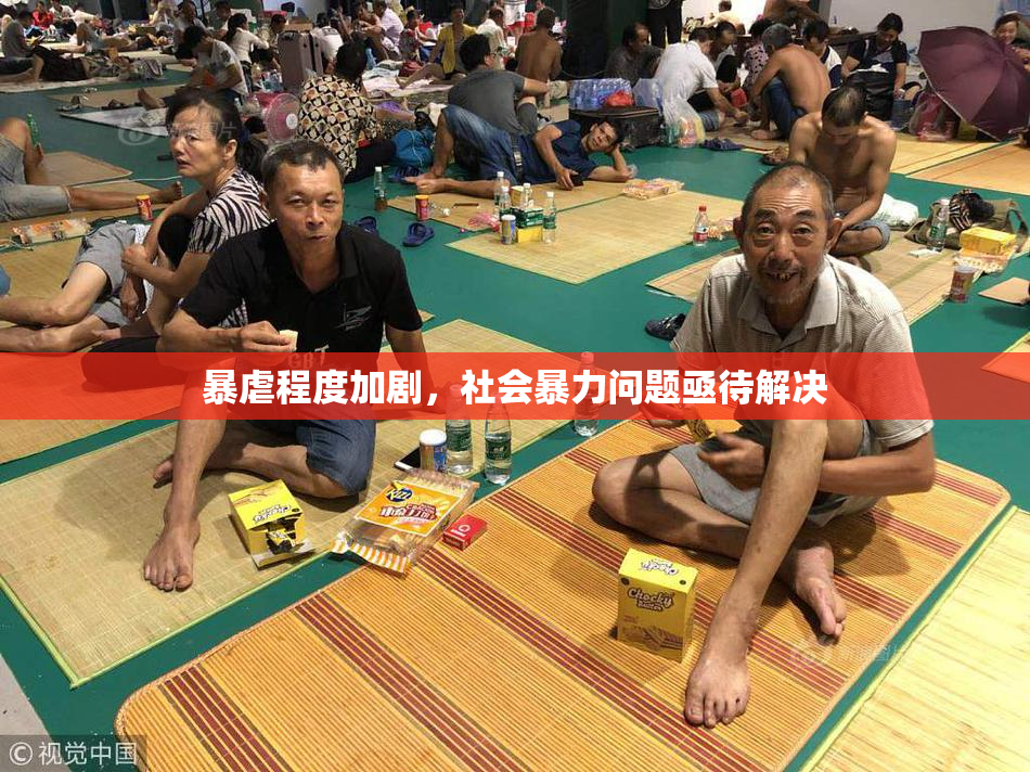 暴虐程度加剧，社会暴力问题亟待解决