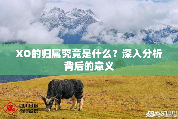 XO的归属究竟是什么？深入分析背后的意义