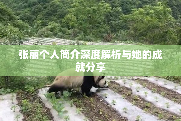 张丽个人简介深度解析与她的成就分享