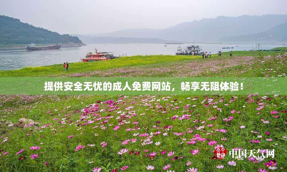 提供安全无忧的成人免费网站，畅享无阻体验！