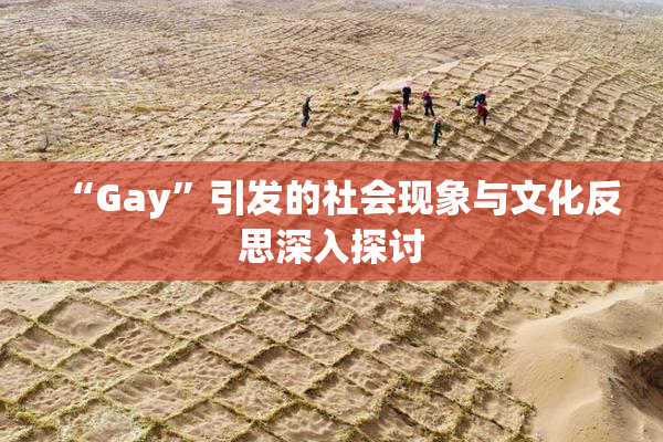“Gay”引发的社会现象与文化反思深入探讨
