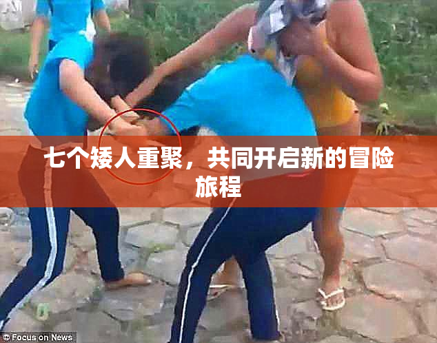 七个矮人重聚，共同开启新的冒险旅程