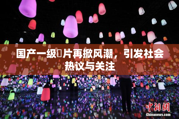 国产一级婬片再掀风潮，引发社会热议与关注