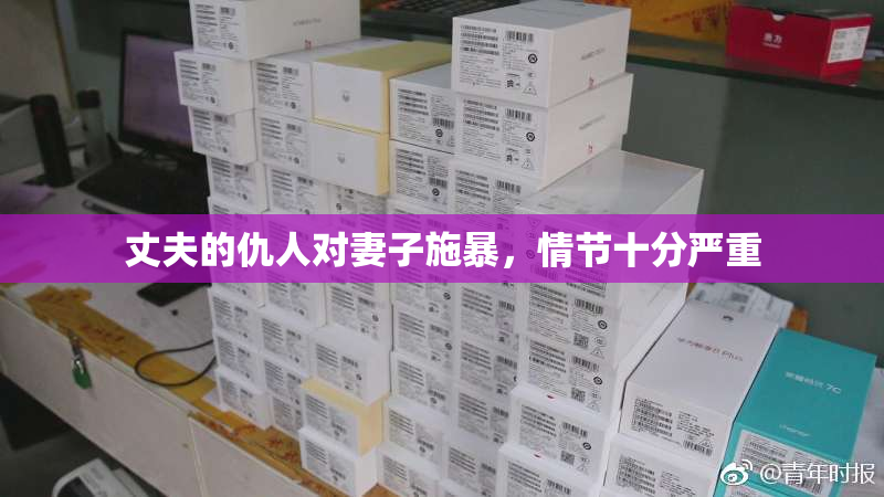 丈夫的仇人对妻子施暴，情节十分严重