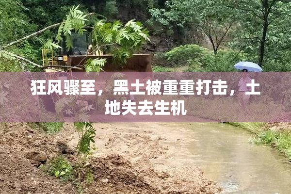 狂风骤至，黑土被重重打击，土地失去生机