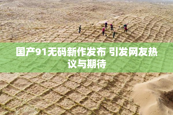 国产91无码新作发布 引发网友热议与期待