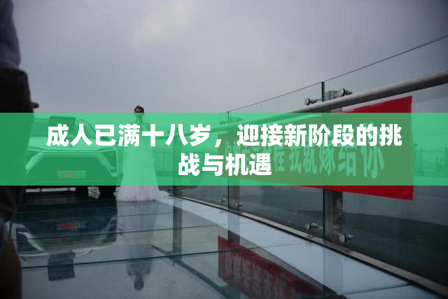 成人已满十八岁，迎接新阶段的挑战与机遇