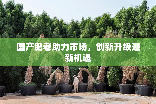 国产肥老助力市场，创新升级迎新机遇